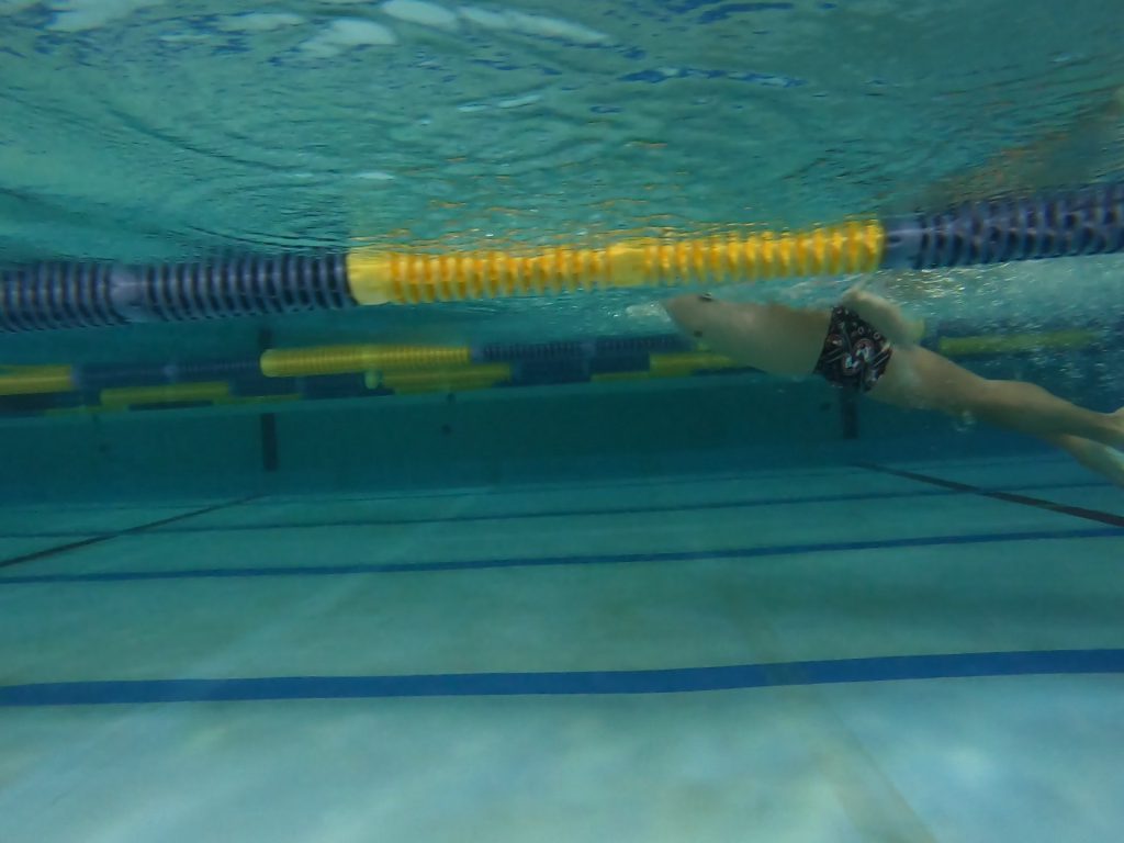 初心者向け バタフライを綺麗に泳ぐコツは ドルフィンキックの蹴り方やタイミングなども含め 図解で説明してみました